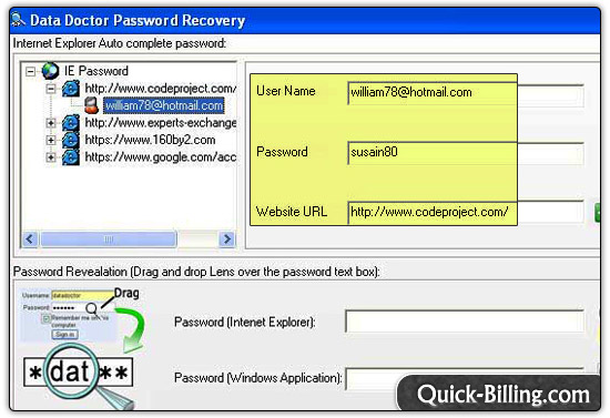 Internet Explorer Password Recovery Software