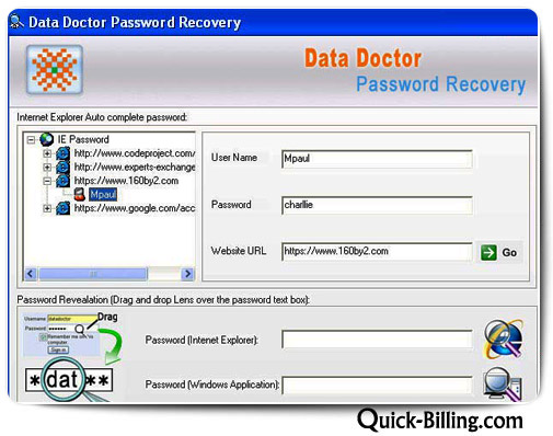 Internet Explorer Password Recovery Software